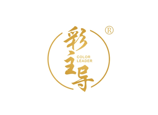 彩主导 COLOR LEADER