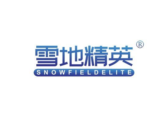 雪地精英 SNOWFIELDELITE