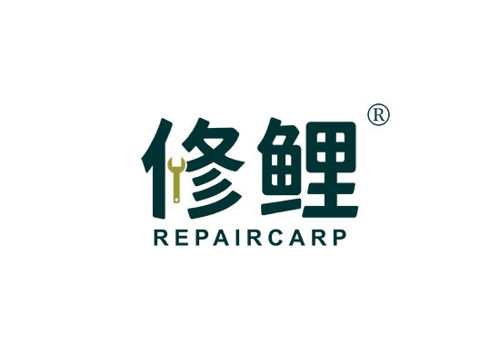 修鲤 REPAIRCARP