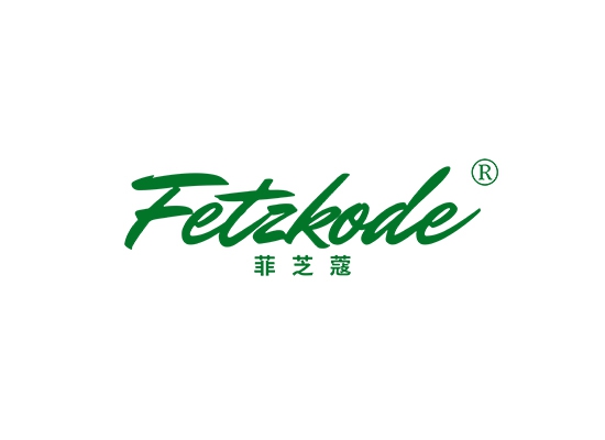 菲芝蔻 FETZKODE